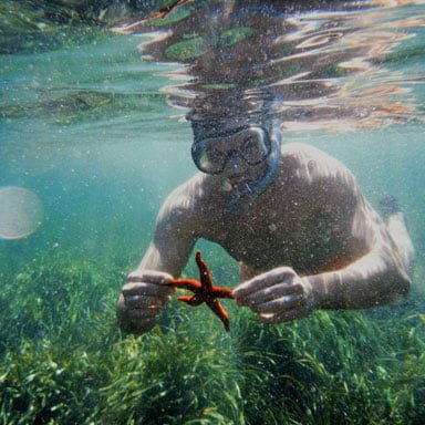 isla-tabarca-snorkel isla de Tabarca, actividad de snorkel
