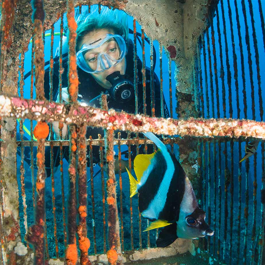 buceo1