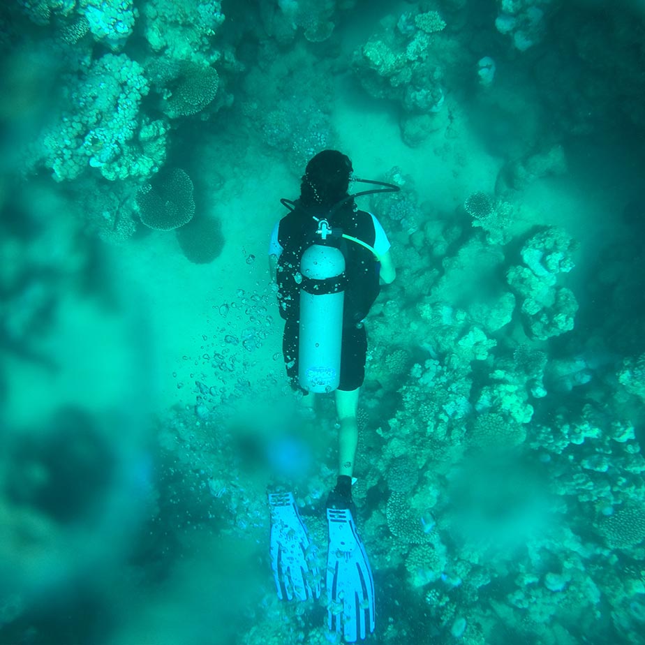 buceo2