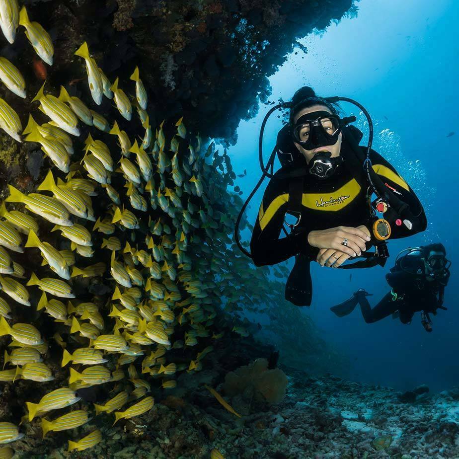 buceo6