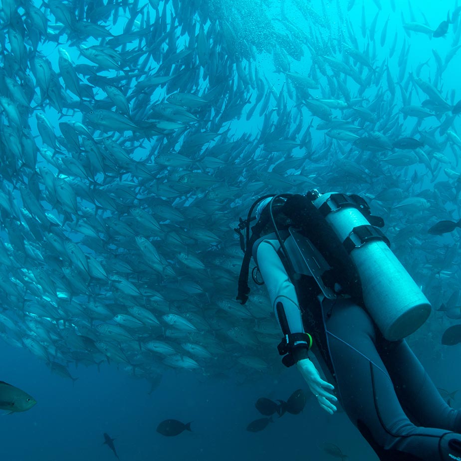 buceo7