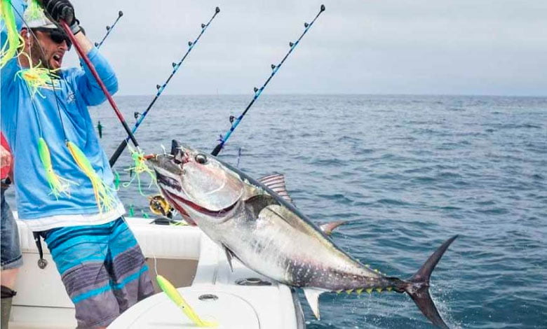 Charter de pesca patrón de embarcaciones de recreo / PER santa pola