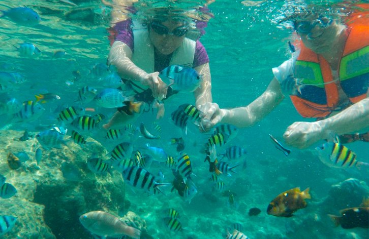 Snorkel en Tabarca: Una Guía Completa para Explorar Sus Aguas Cristalinas