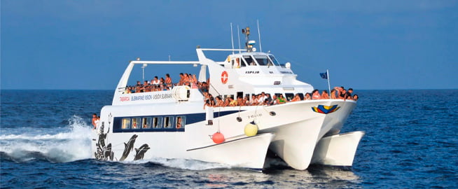 Torreviaja-Santa-pola transporte torrevieja tabarca